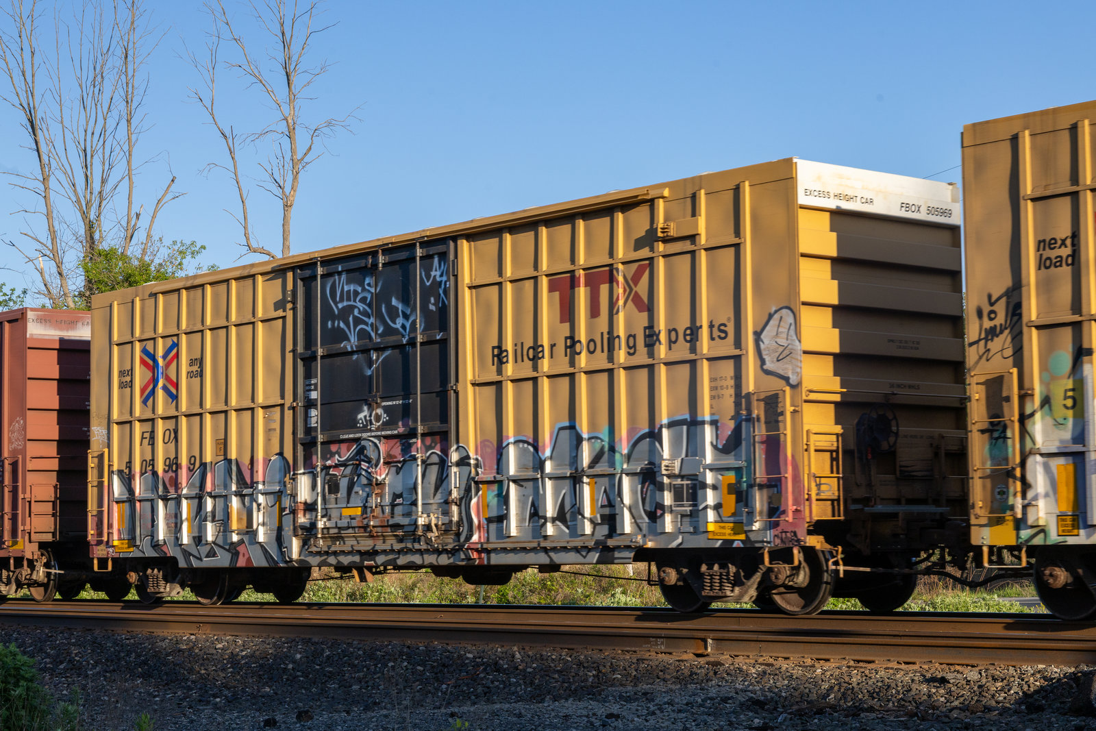 FBOX 505969