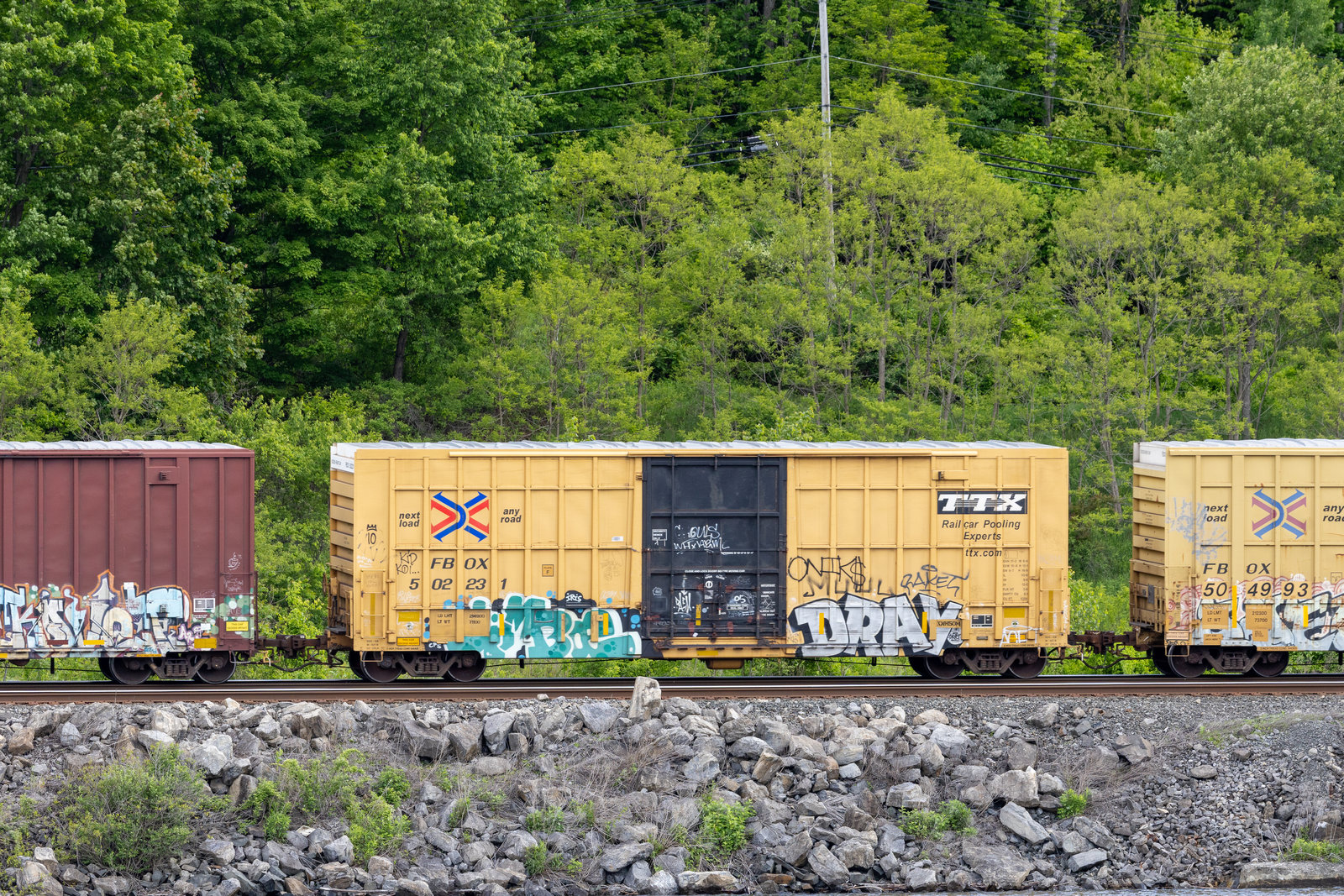 FBOX 502231