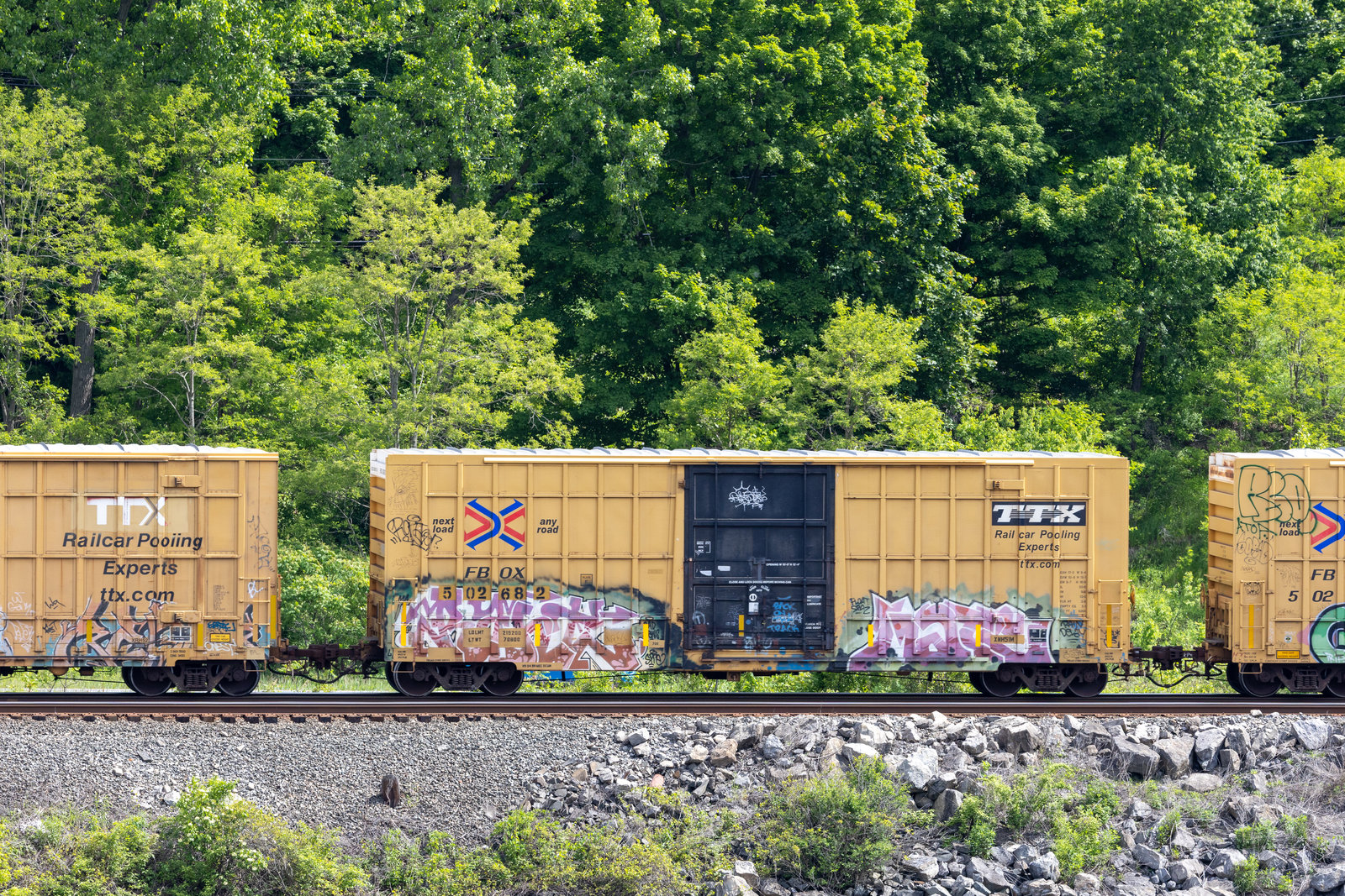 FBOX 502682