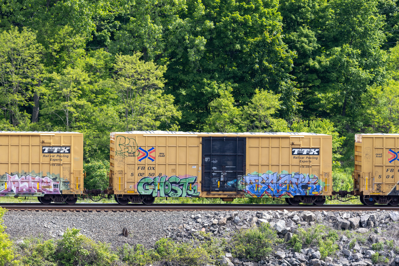 FBOX 502508