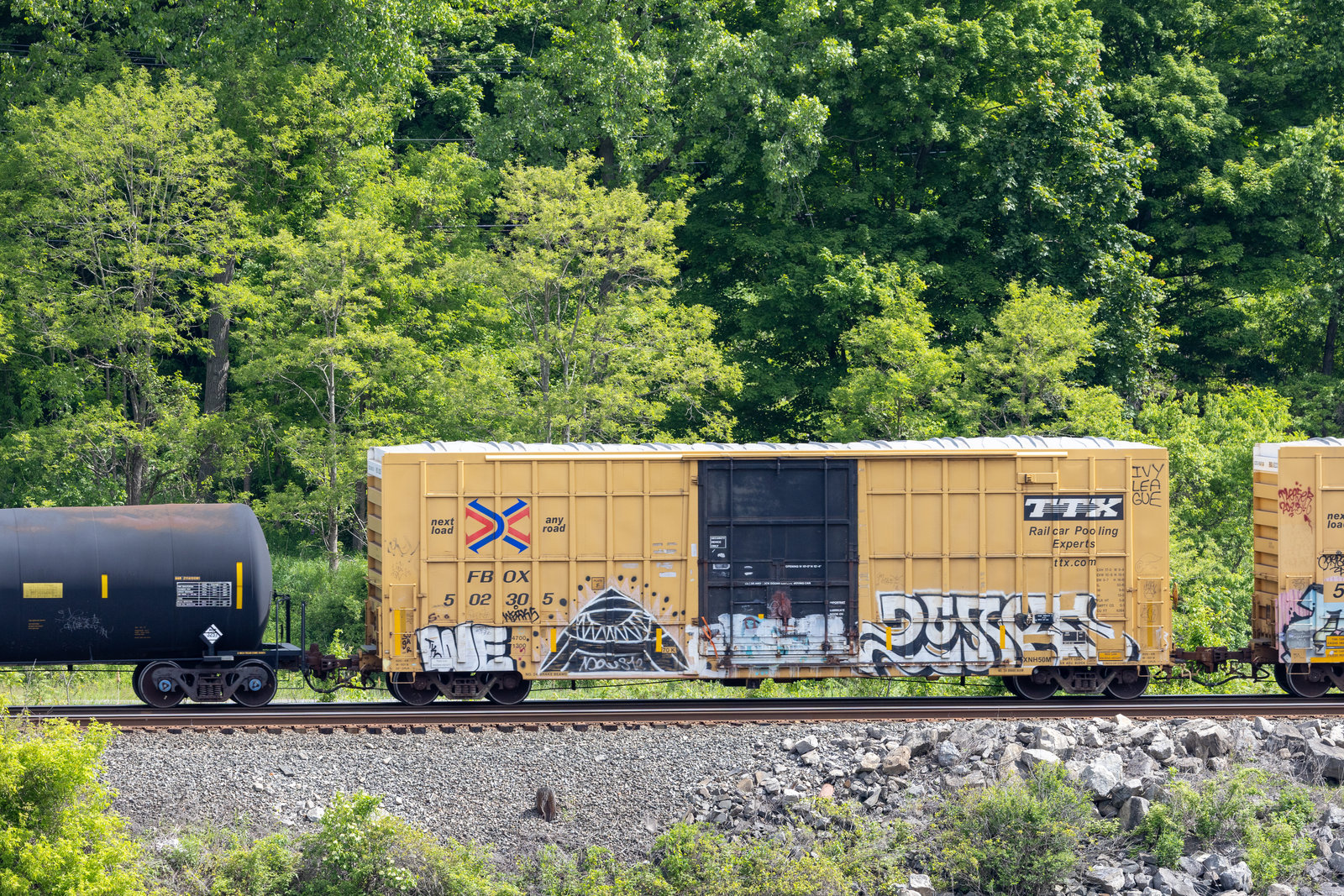 FBOX 502305