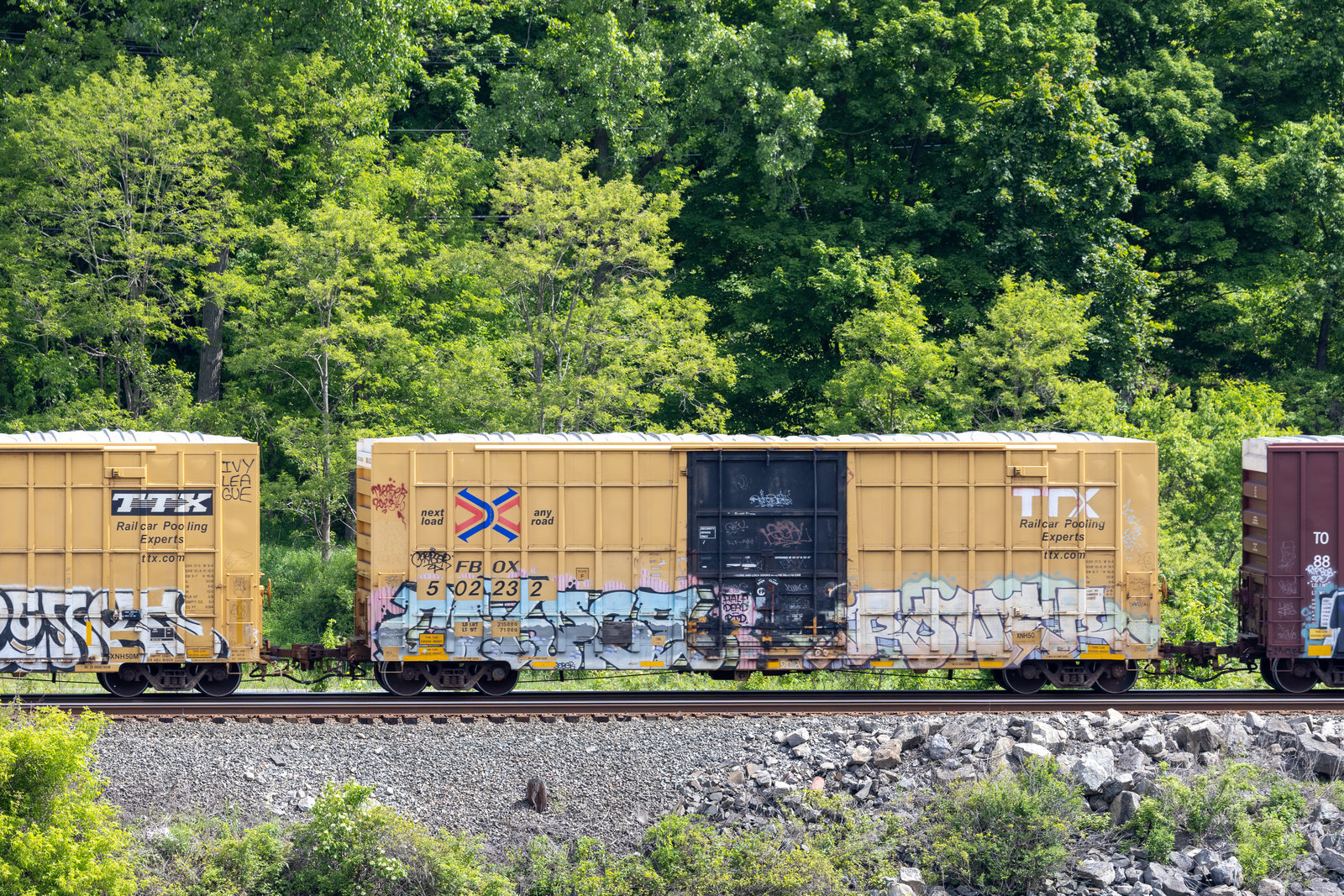 FBOX 502232