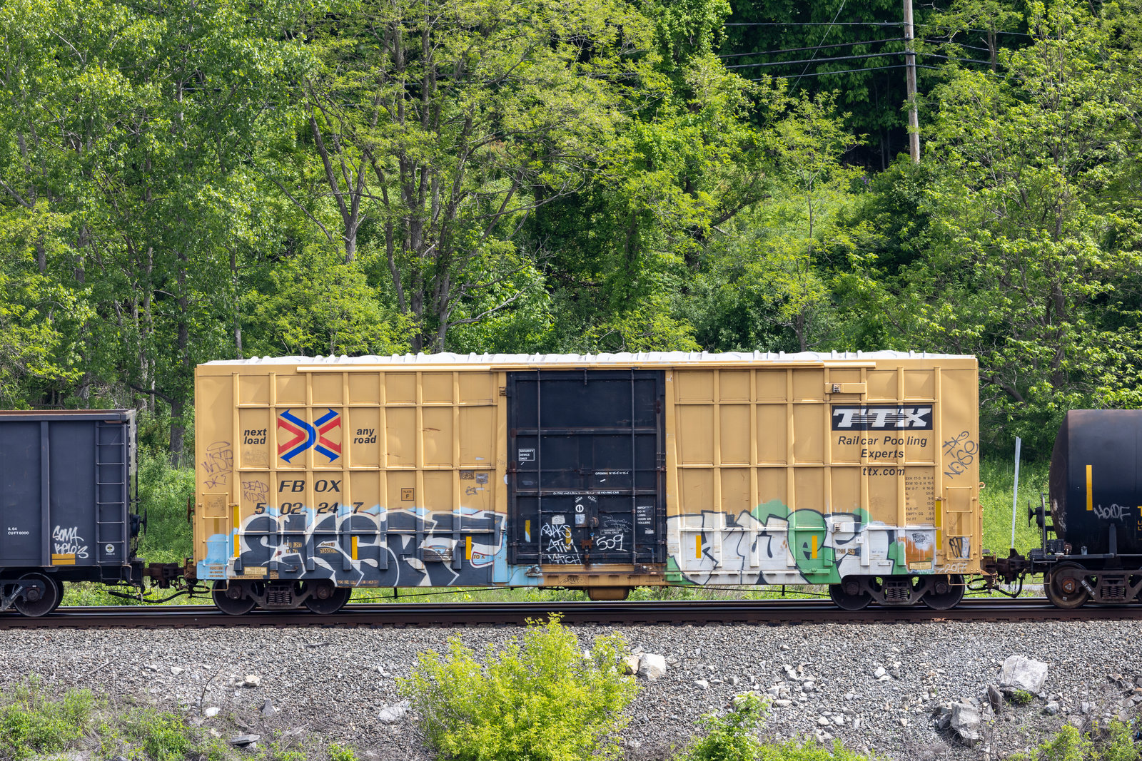 FBOX 502247