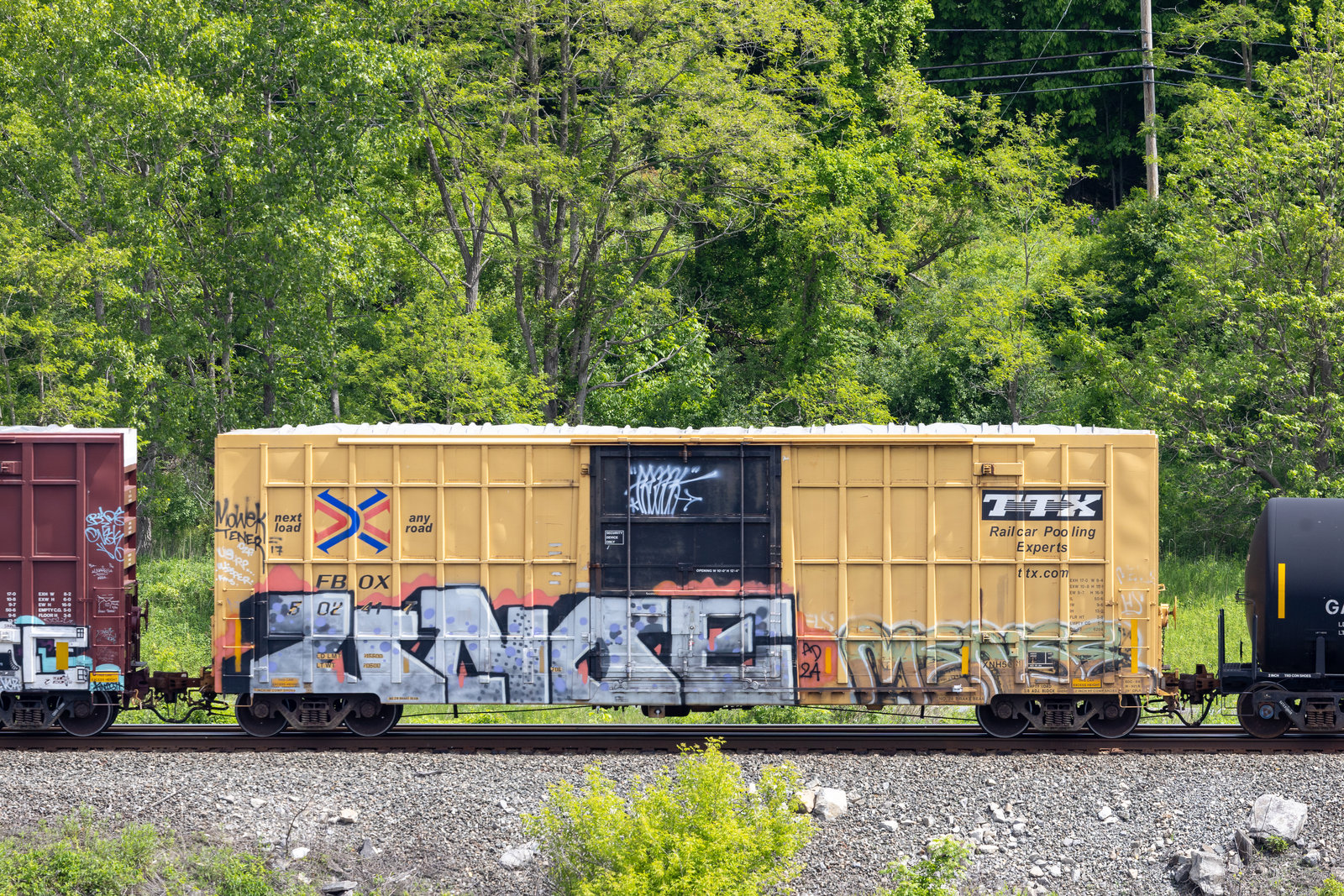 FBOX 502417