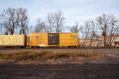 FBOX 504098