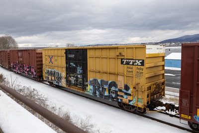 FBOX 504350