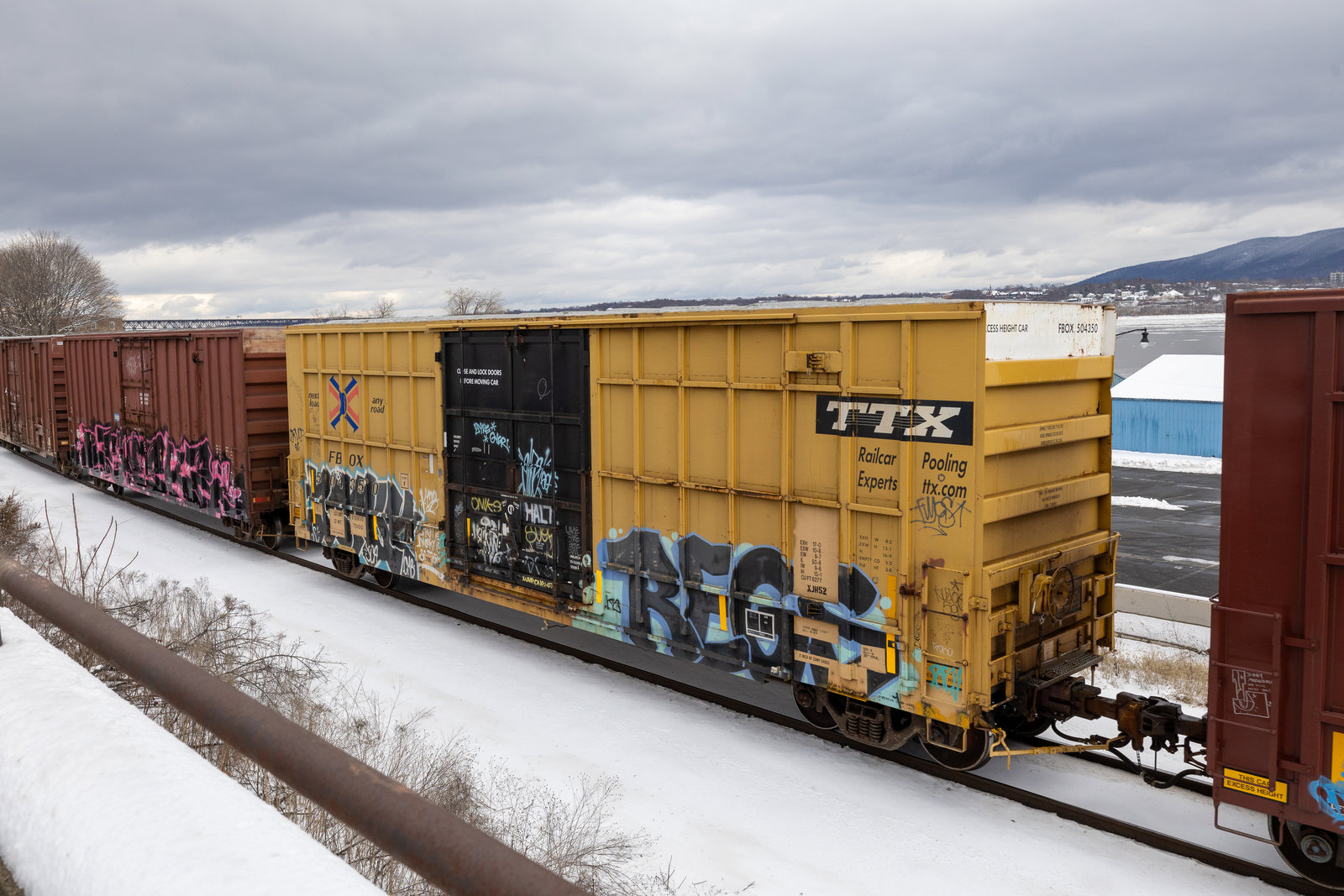 FBOX 504350