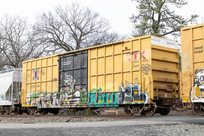 FBOX 504293