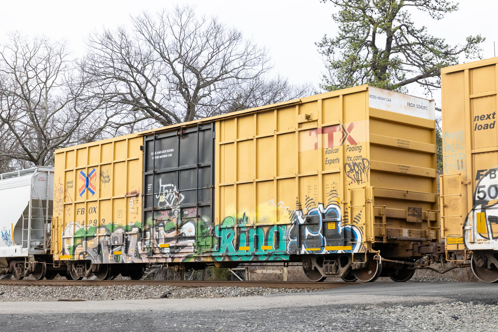 FBOX 504293