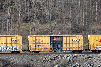 FBOX 504208