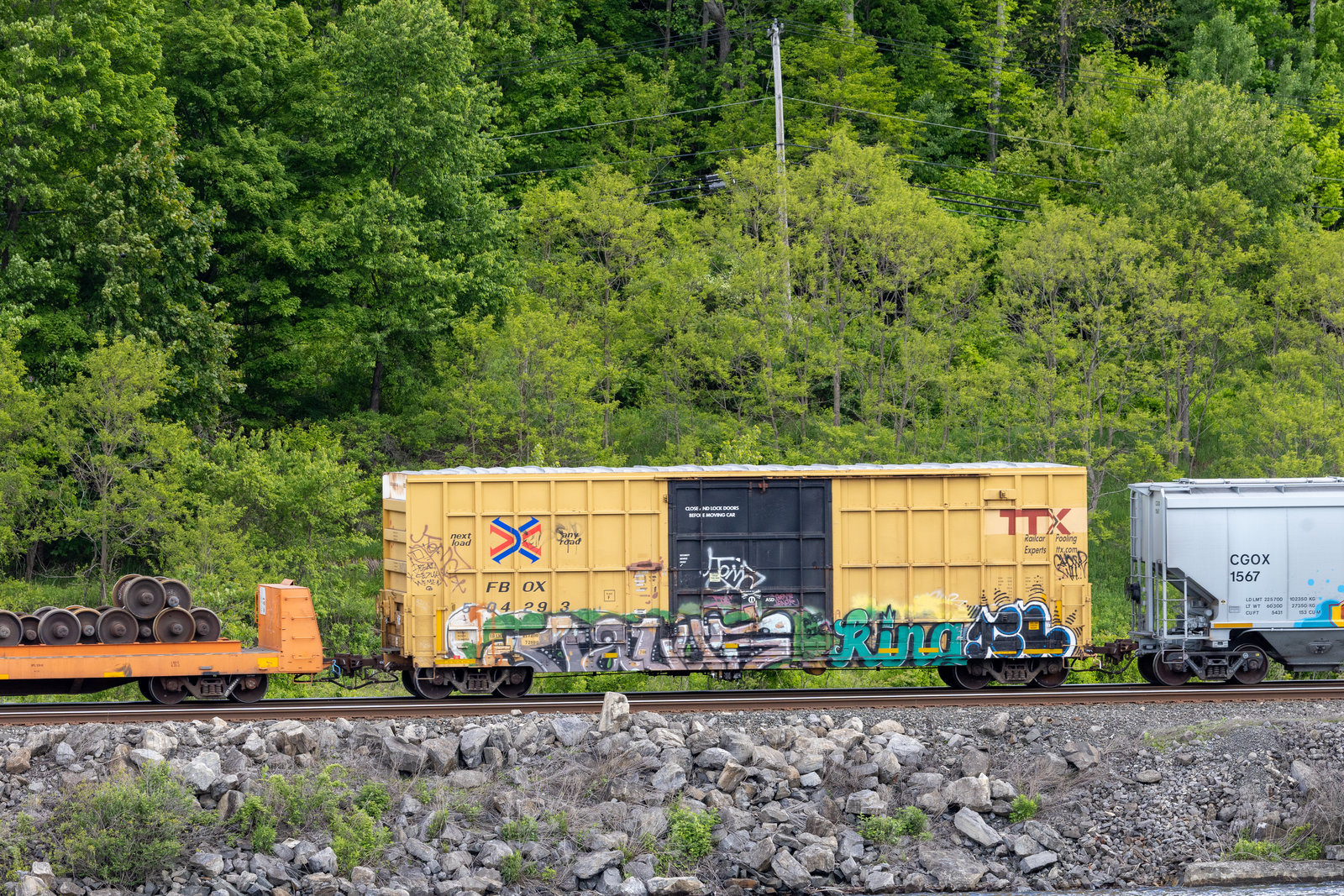 FBOX 504293