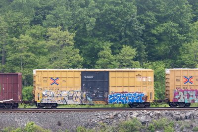 FBOX 504217