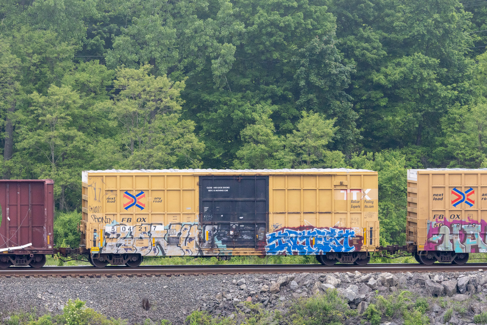 FBOX 504217