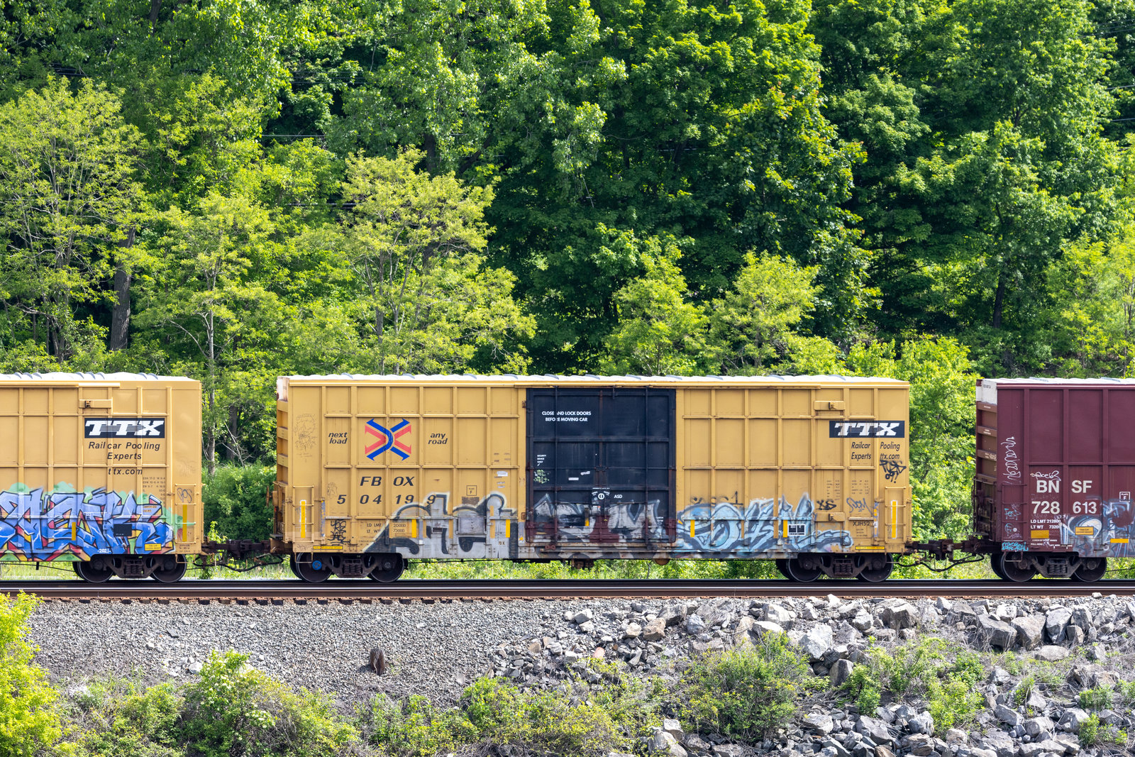 FBOX 504199