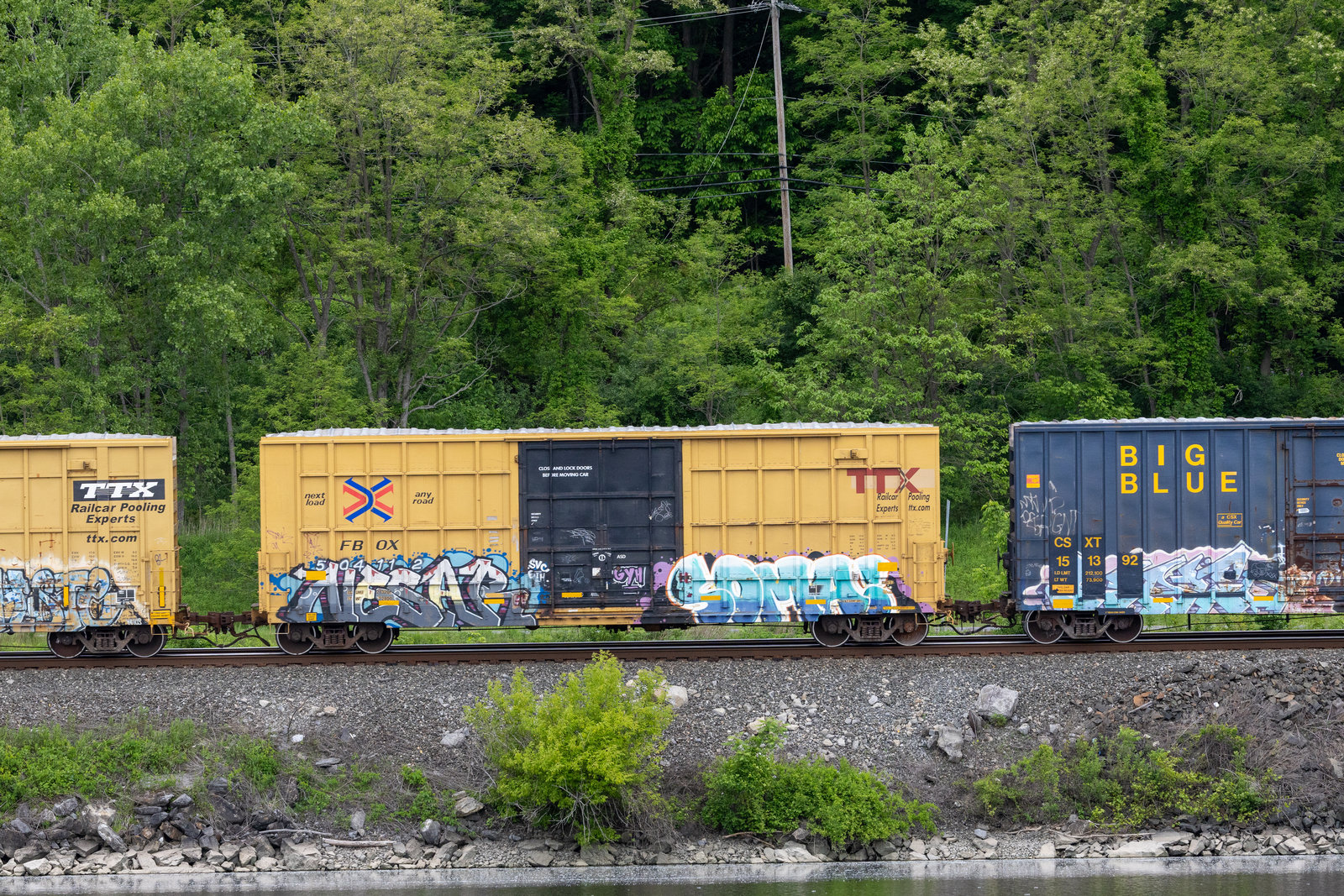 FBOX 504112