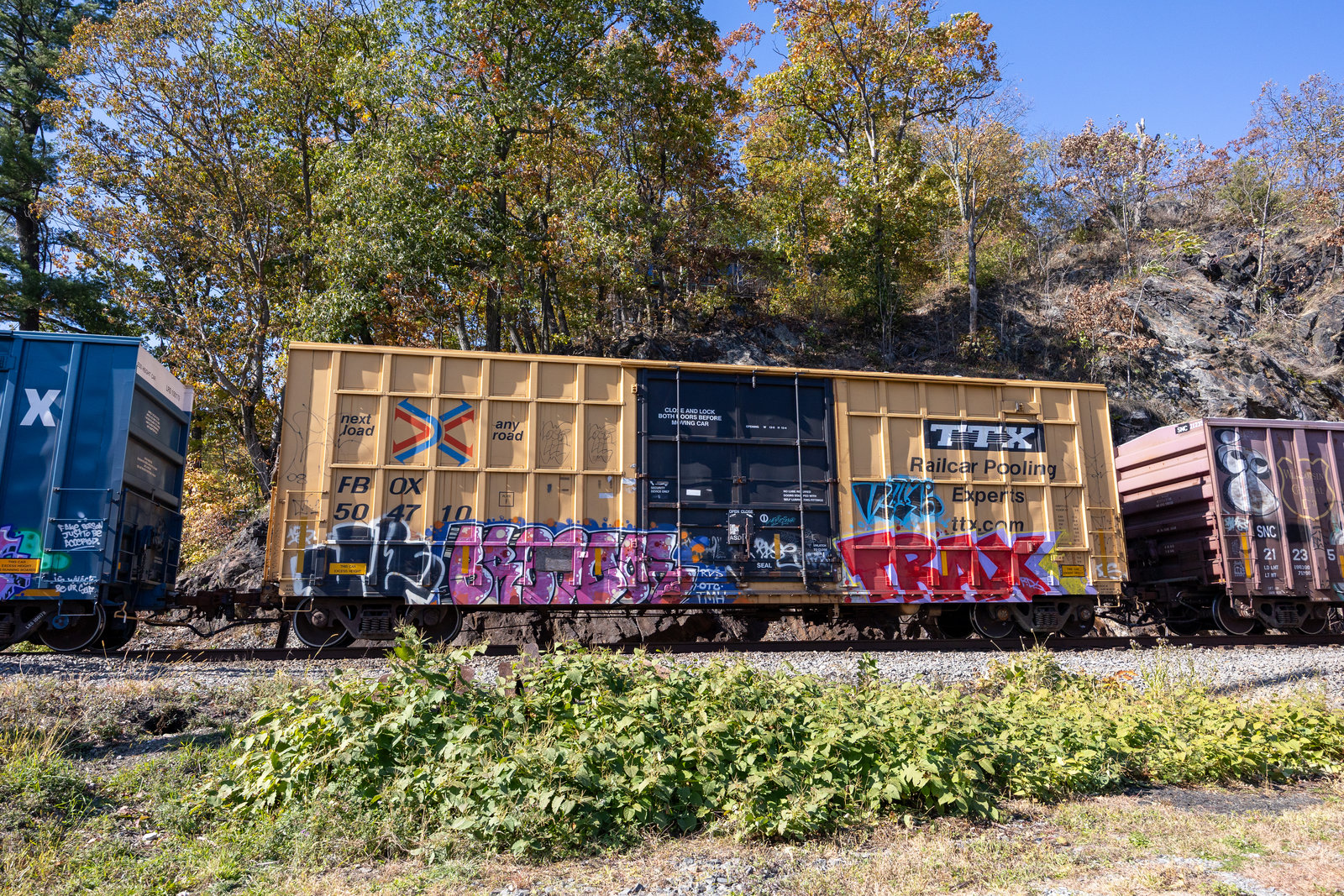 FBOX 504710