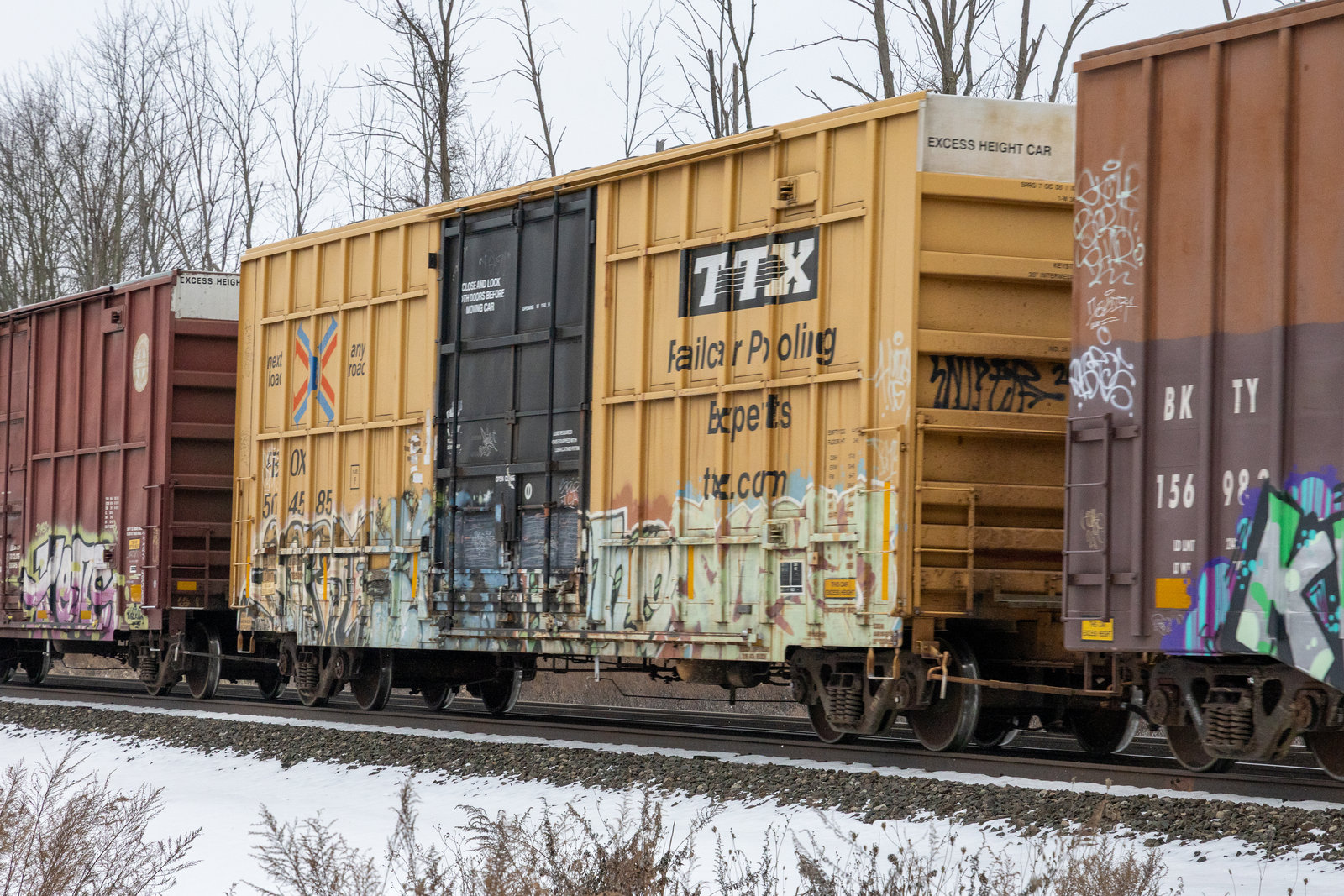 FBOX 504585