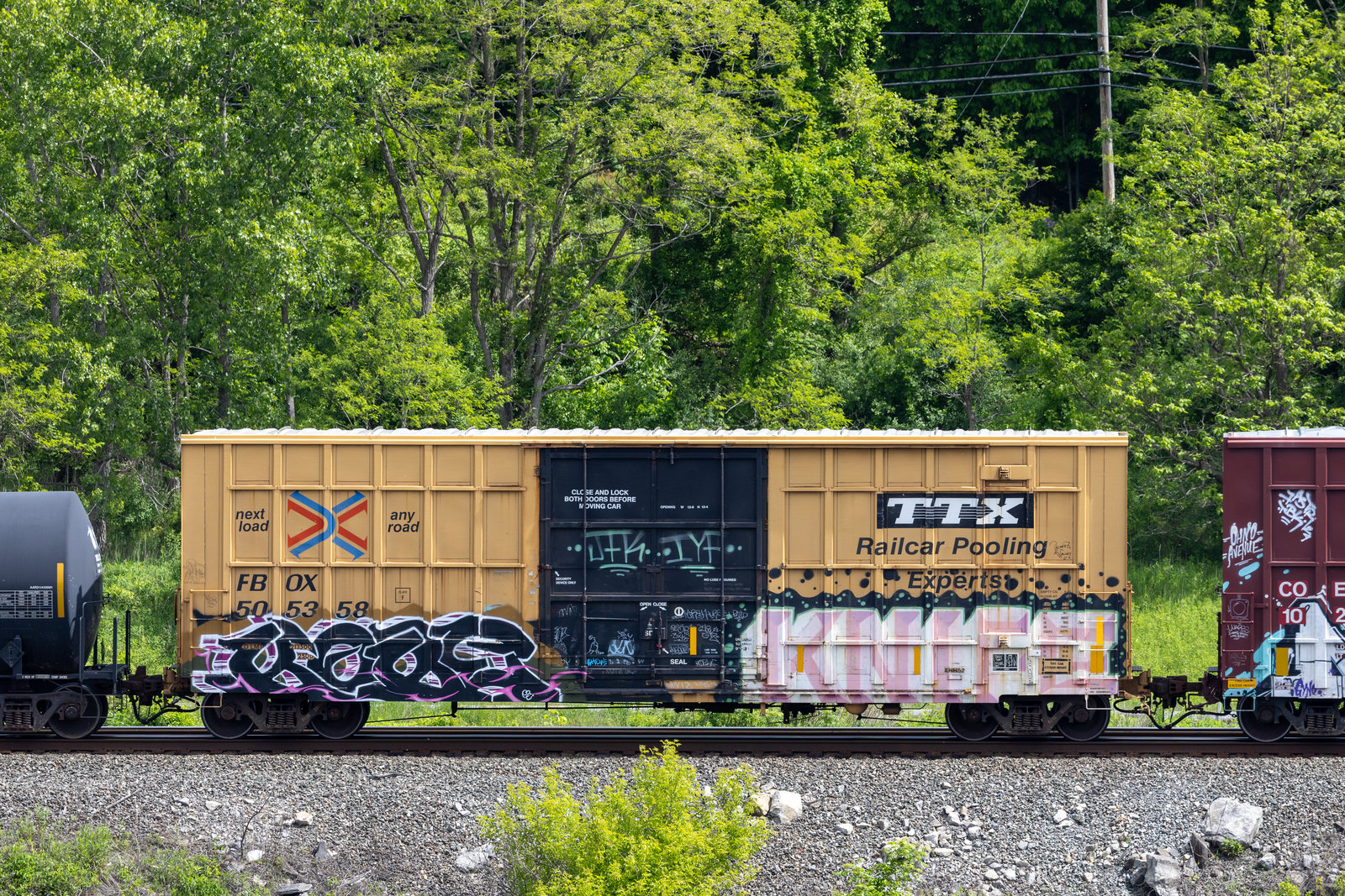 FBOX 505358