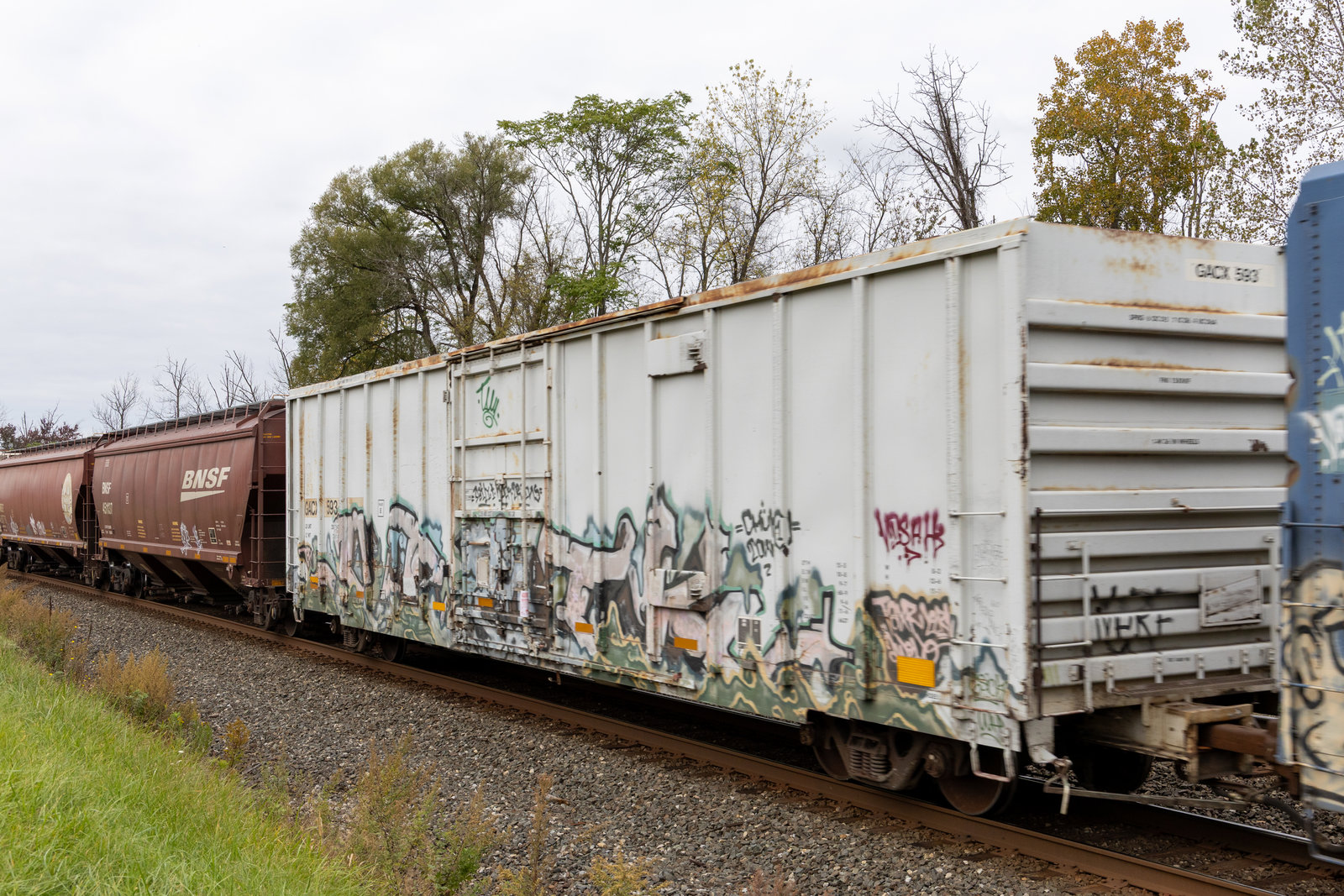 GACX 593