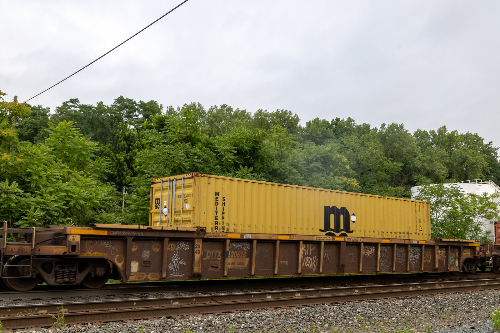 DTTX 620628B