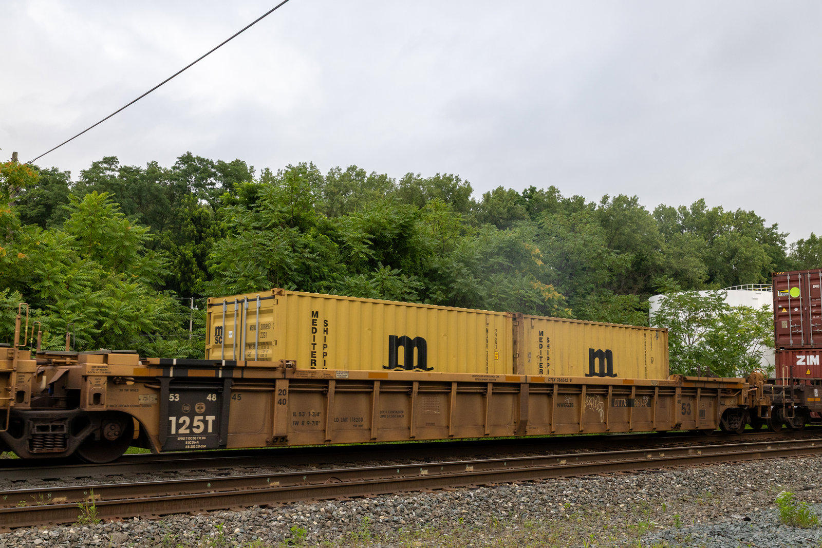 DTTX 786042B