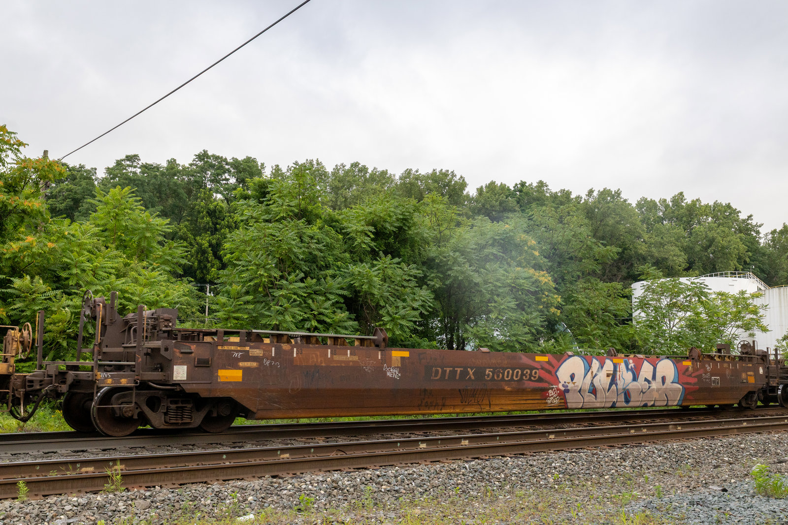 DTTX 560039
