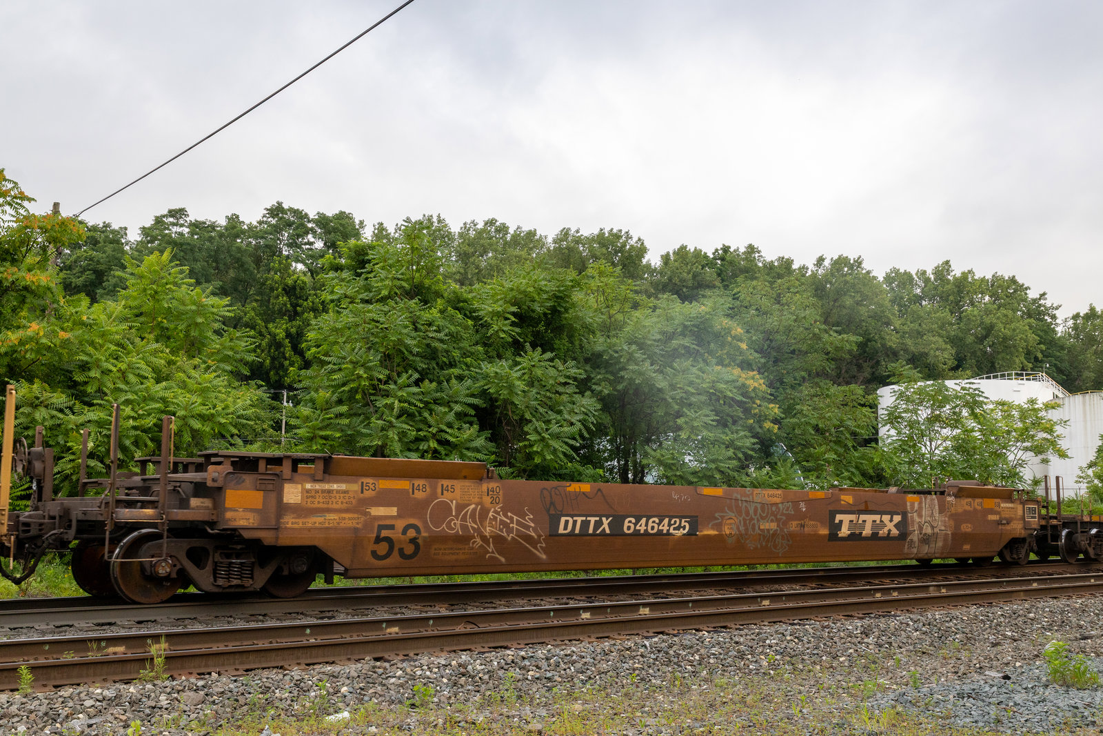 DTTX 646425