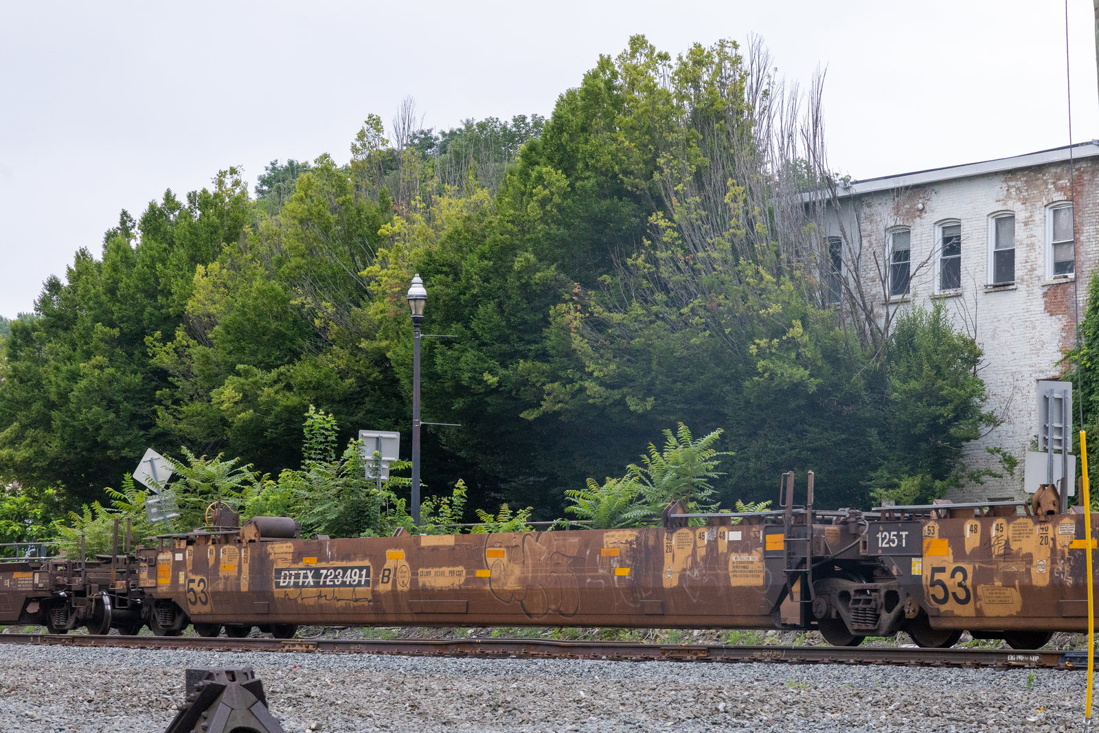 DTTX 723491B