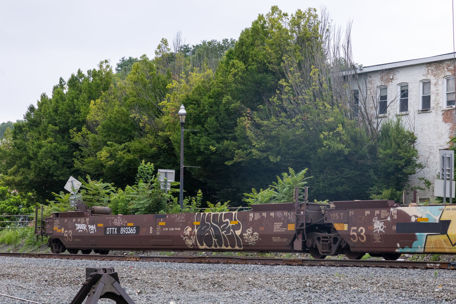 DTTX 893365B