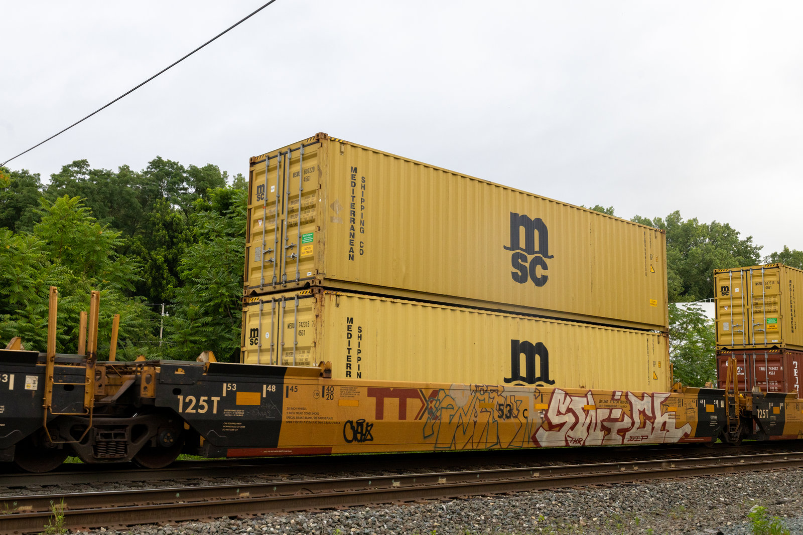 DTTX 795341C