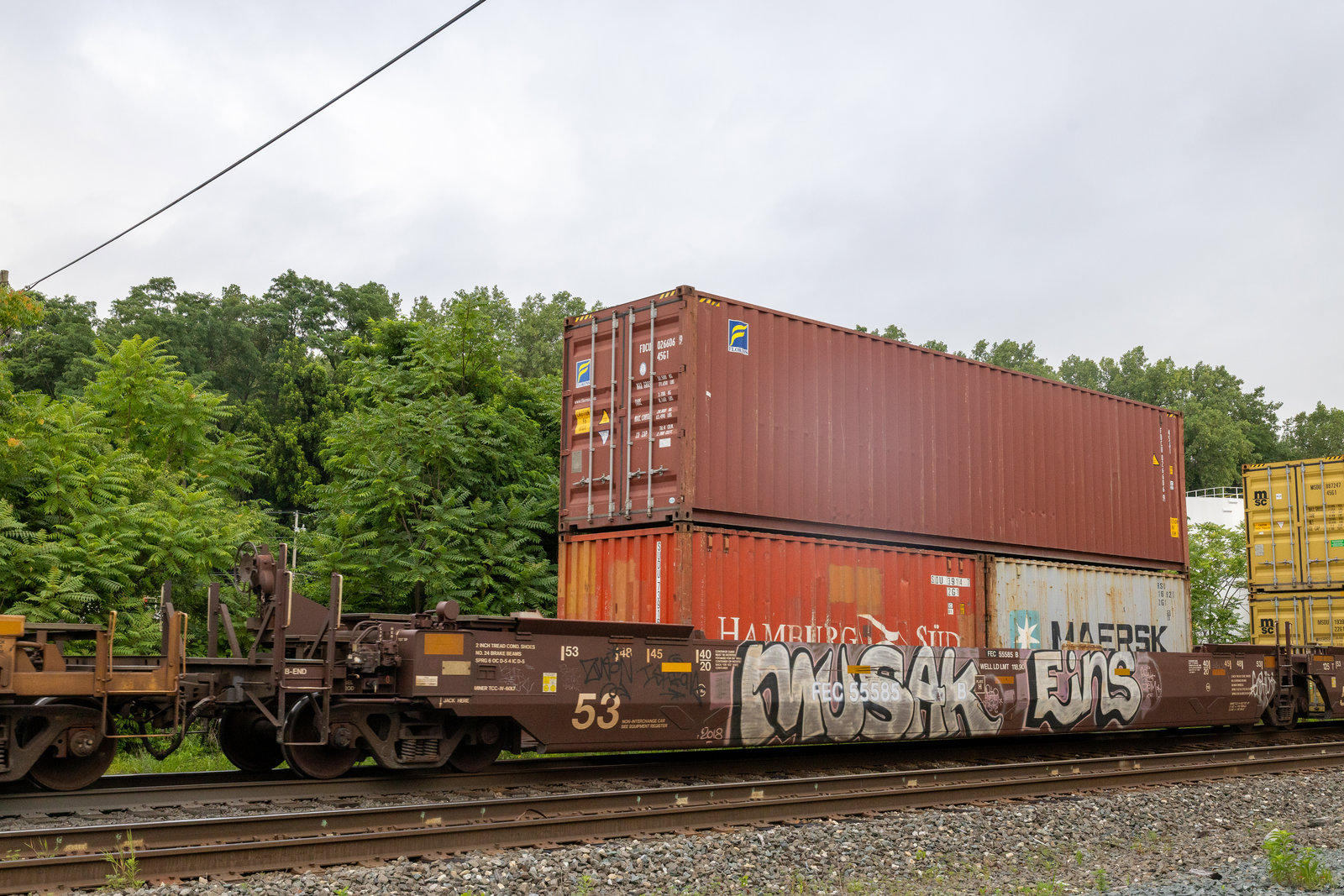 FEC 55585B