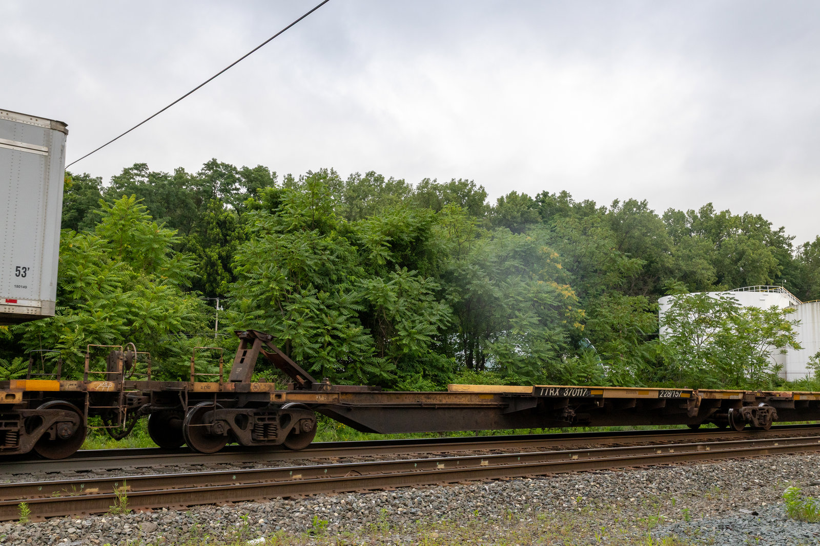 TTRX 370117A