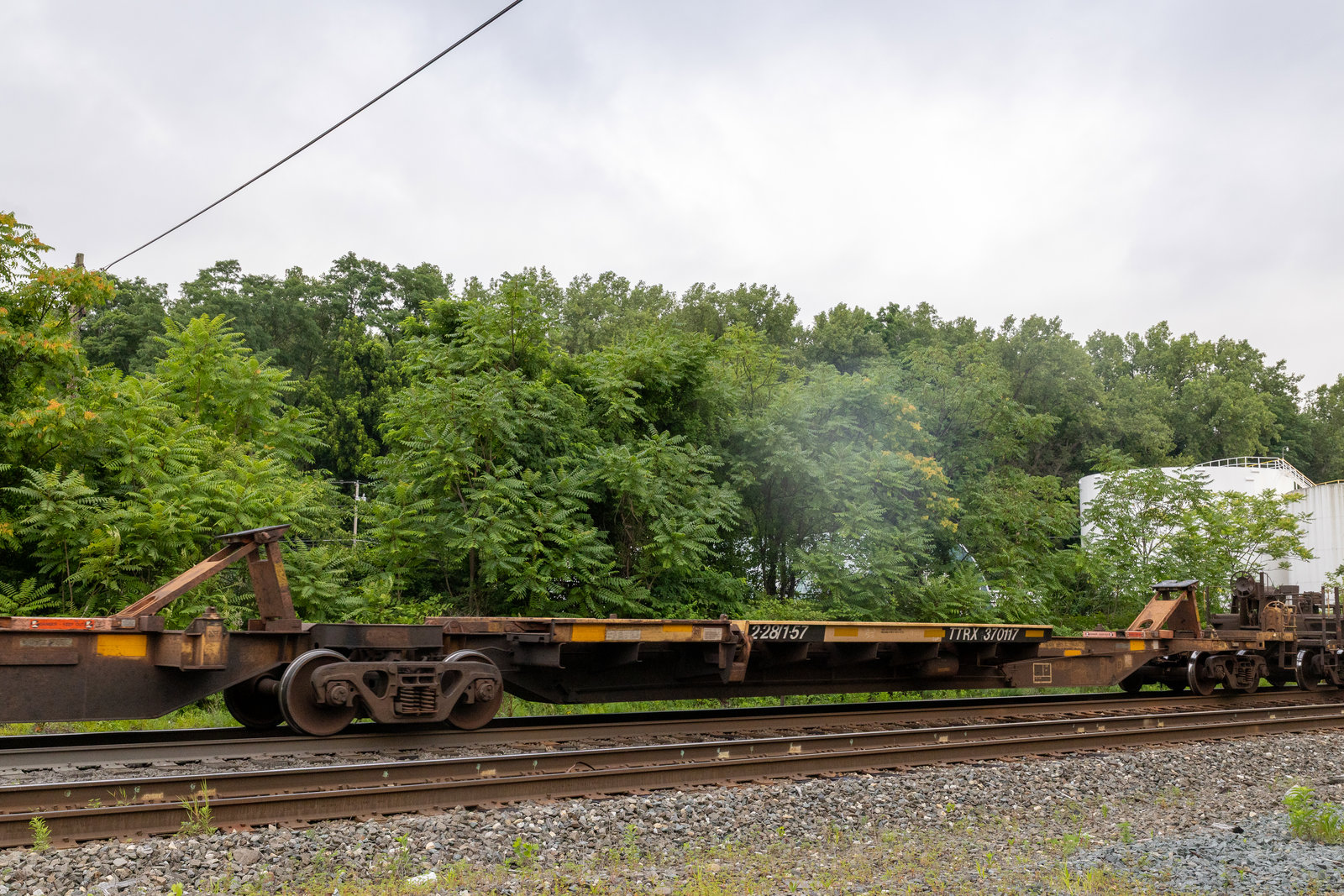 TTRX 370117B