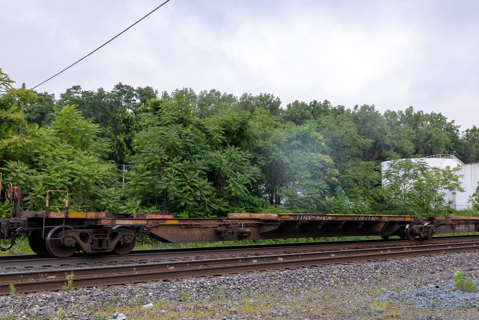 TTRX 360236B