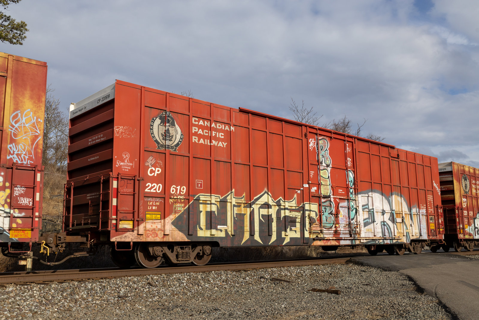 CP 220619