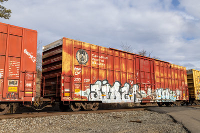 CP 220129
