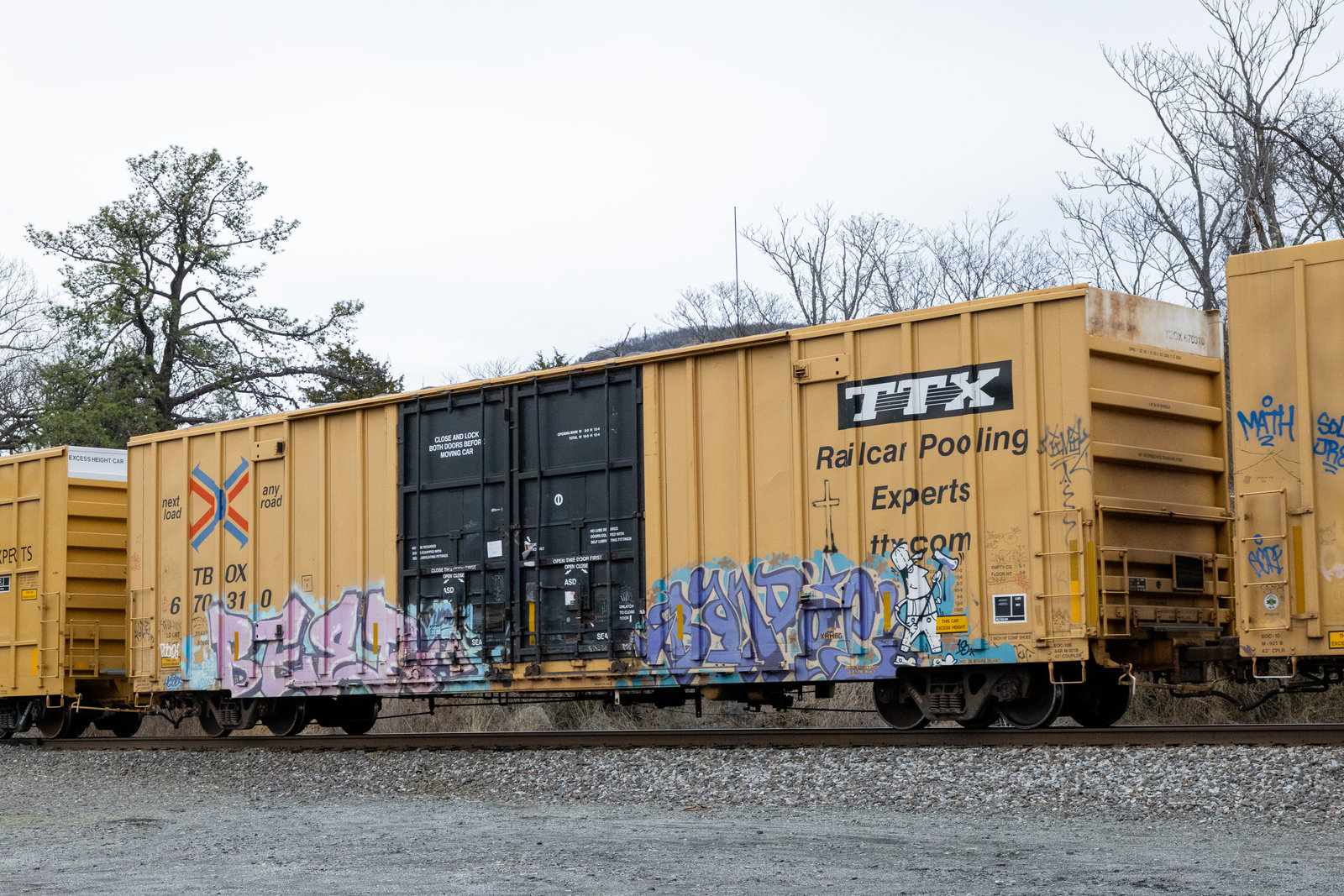 TBOX 670310