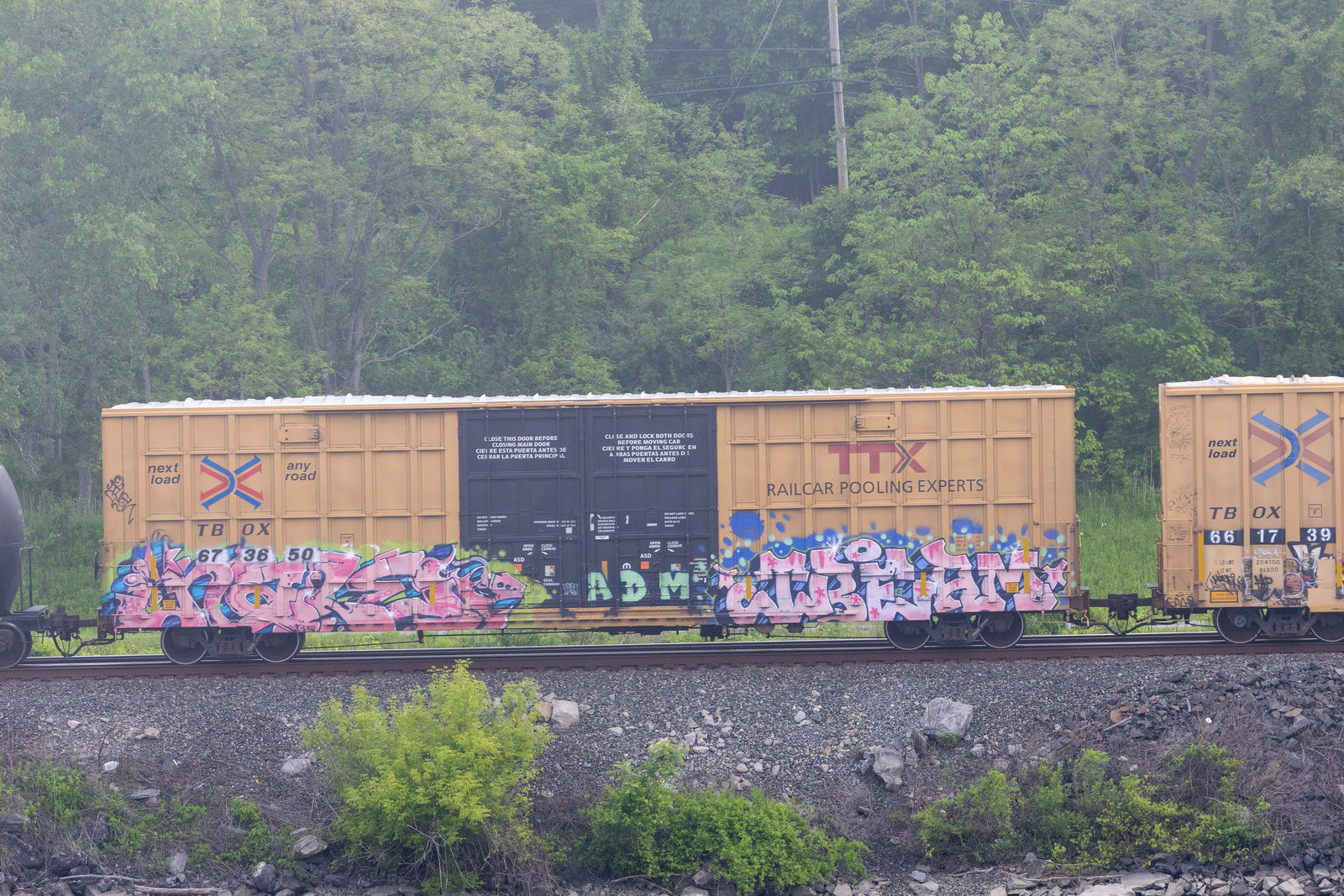 TBOX 673650