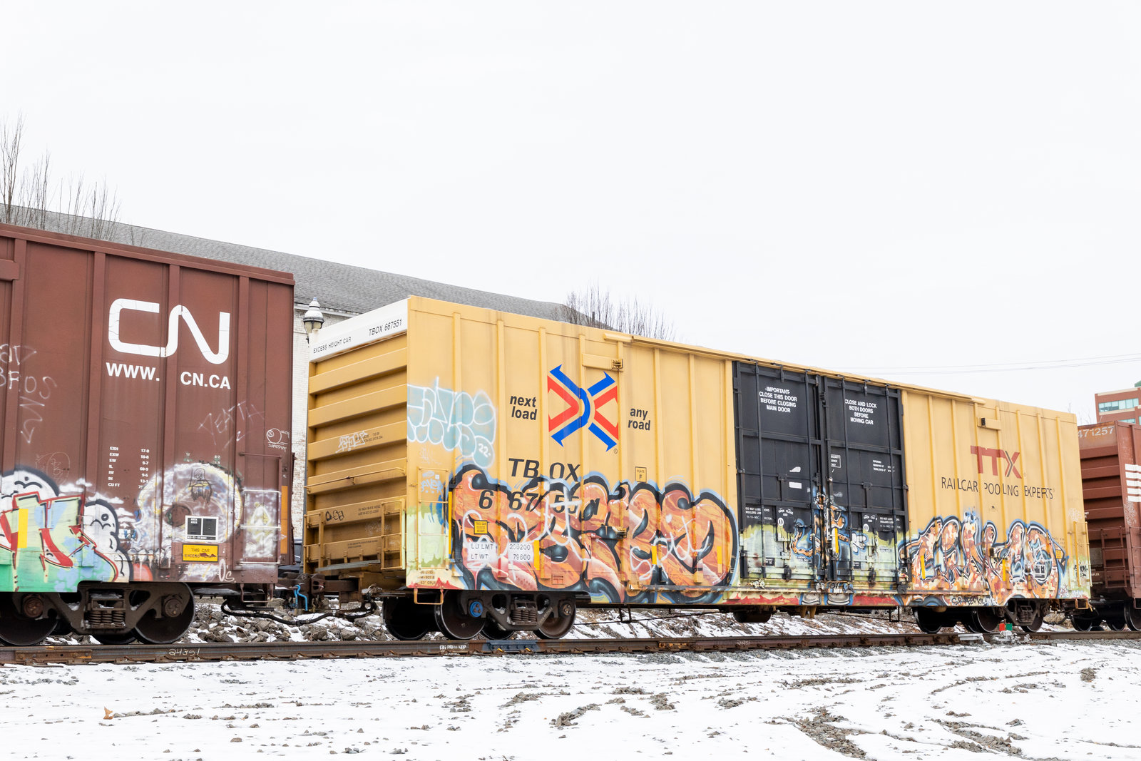 TBOX 667551