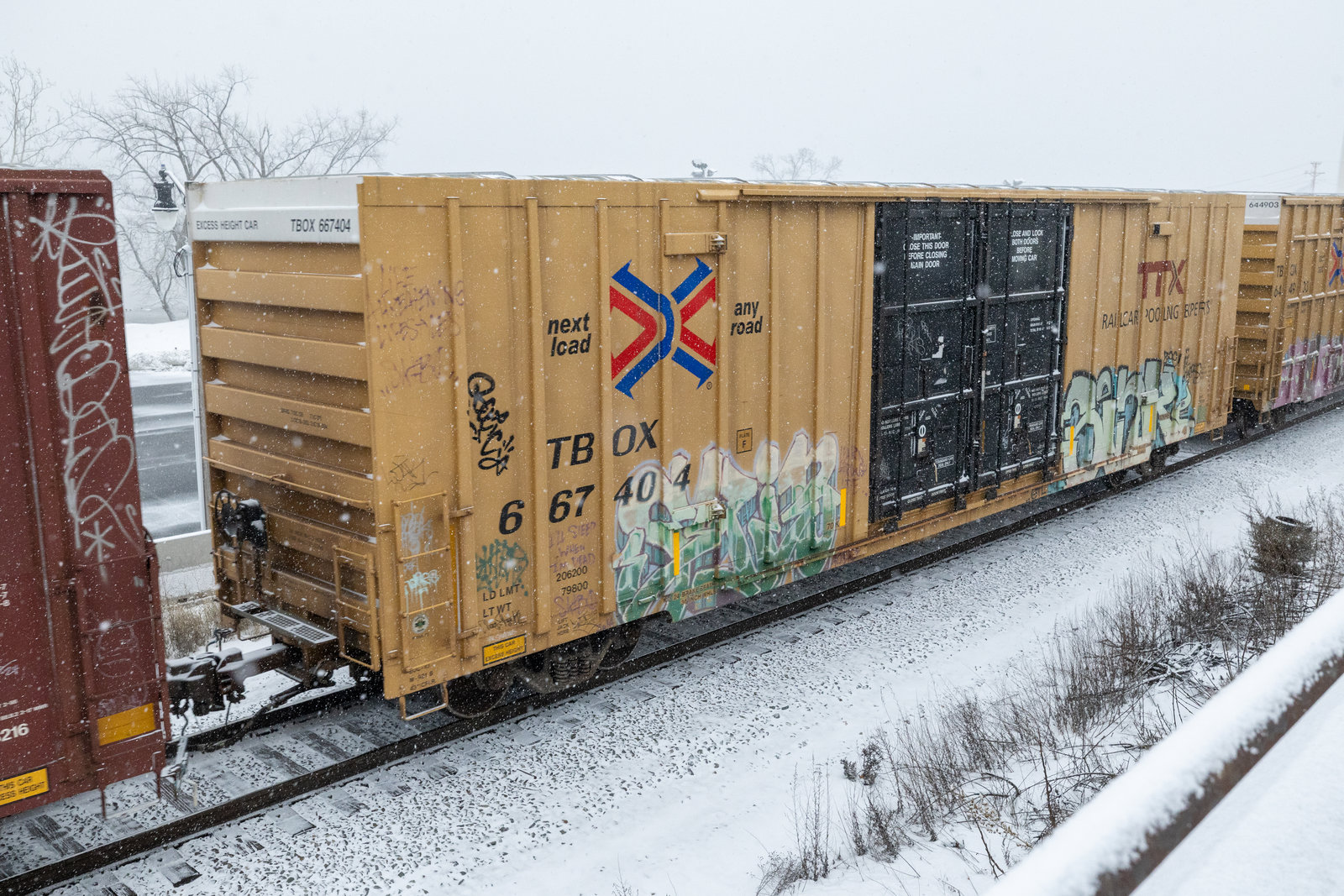 TBOX 667404