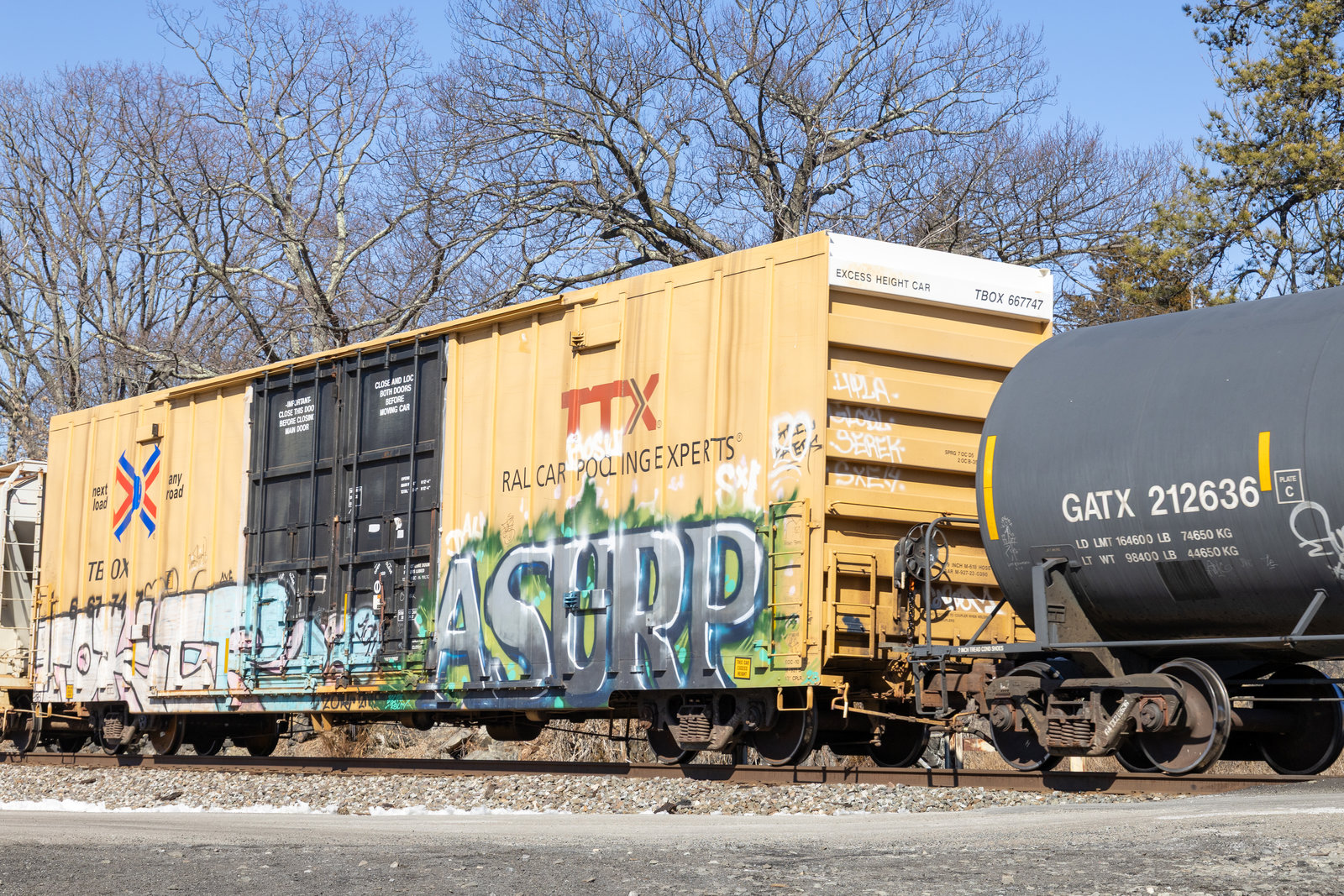 TBOX 667747