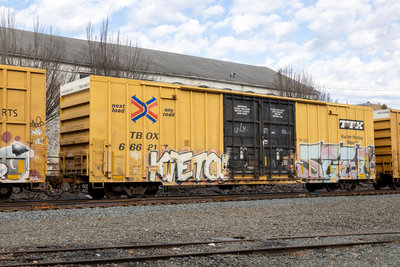 TBOX 666217