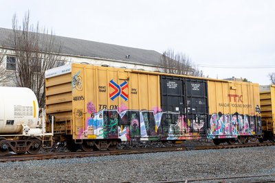 TBOX 667447