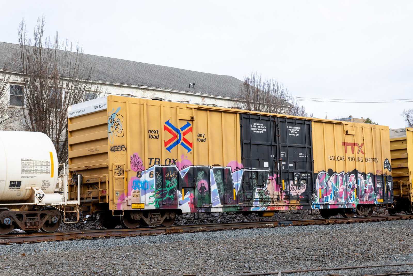 TBOX 667447