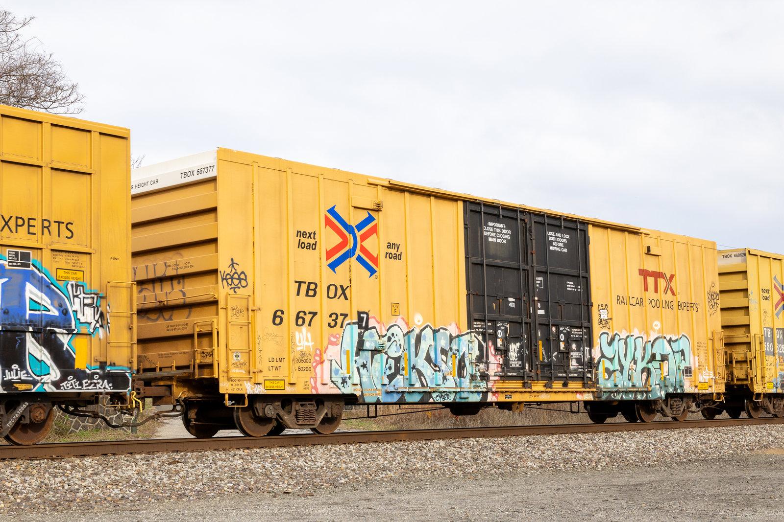 TBOX 667377