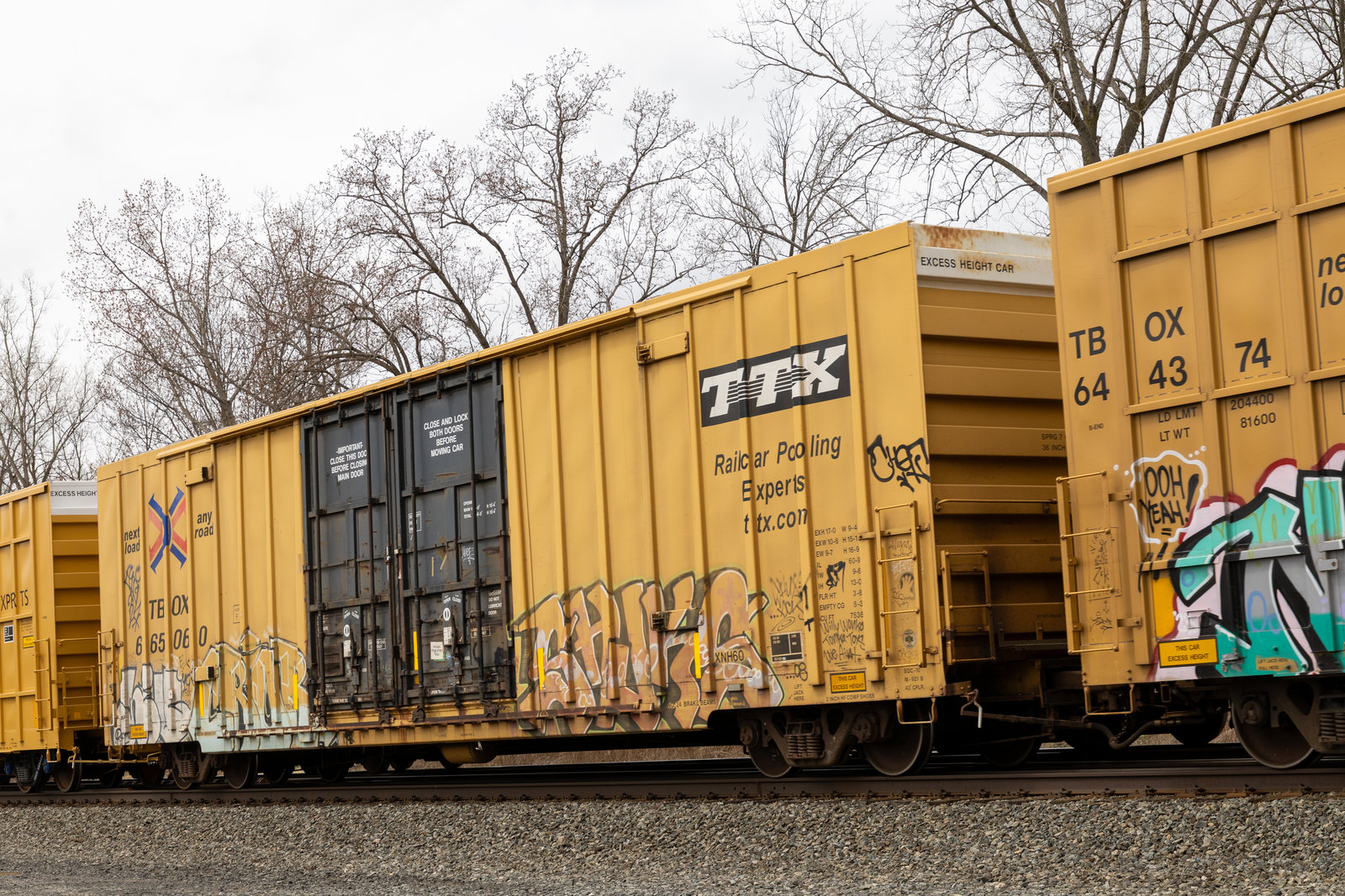 TBOX 665060