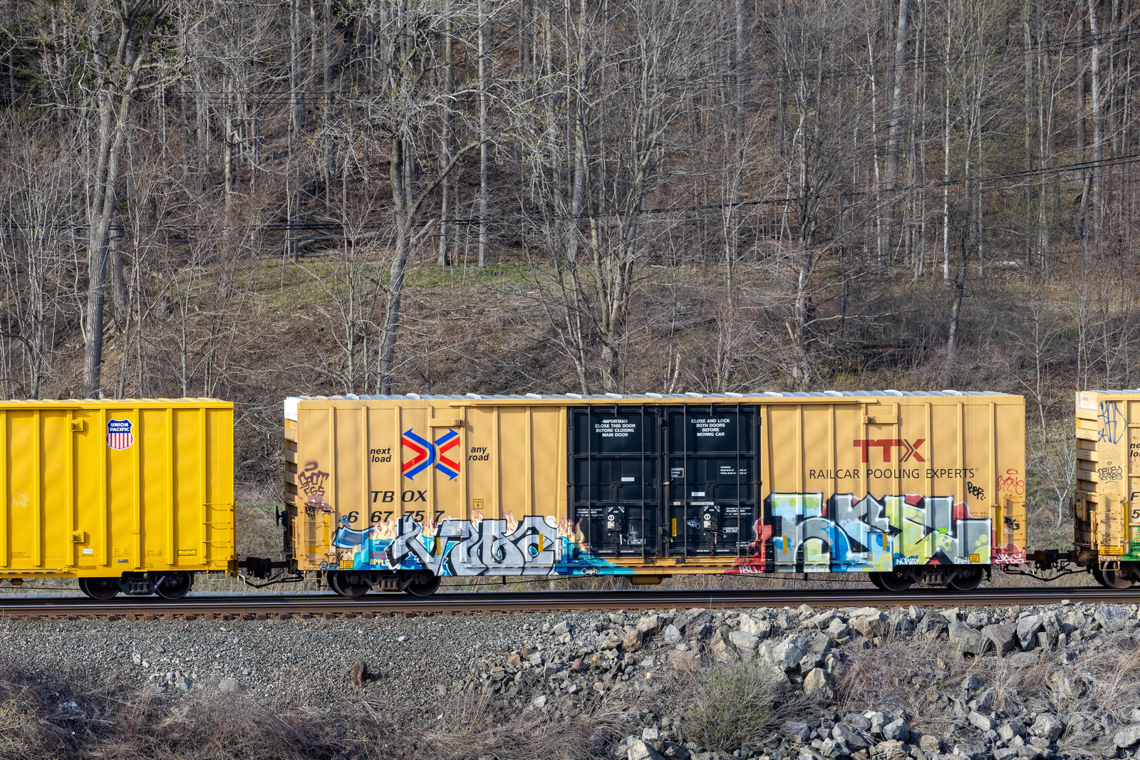 TBOX 667757