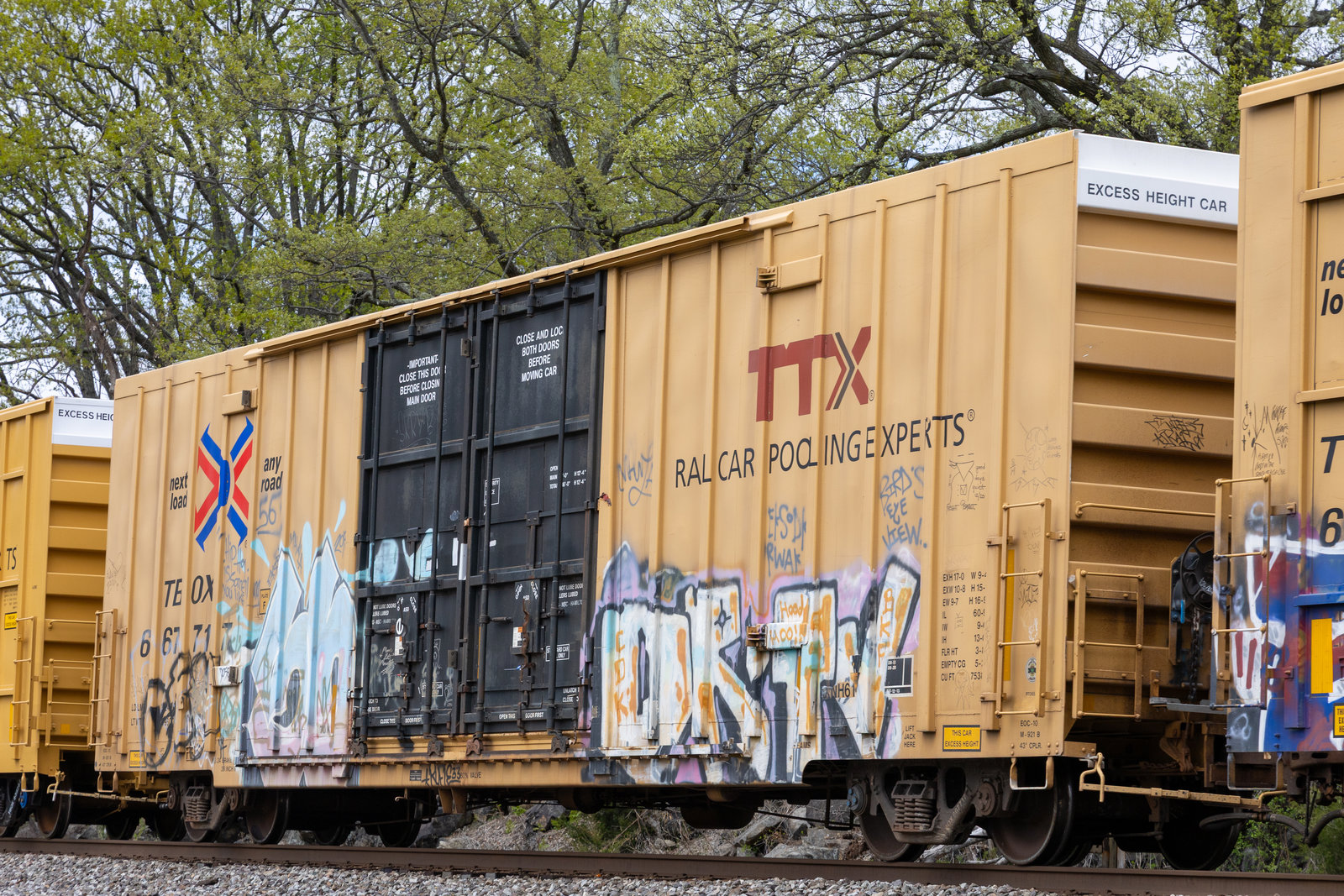 TBOX 667717