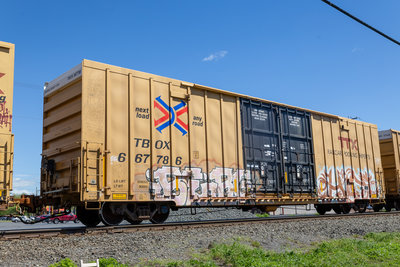 TBOX 667786