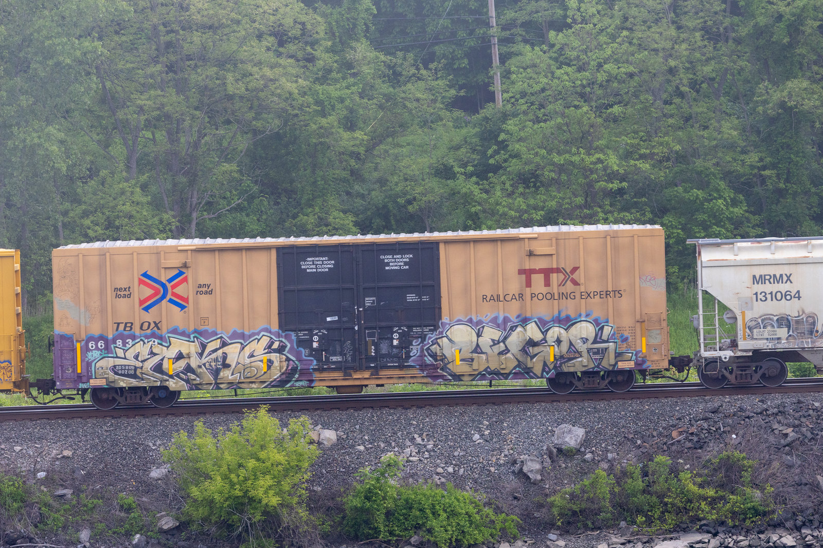 TBOX 668319